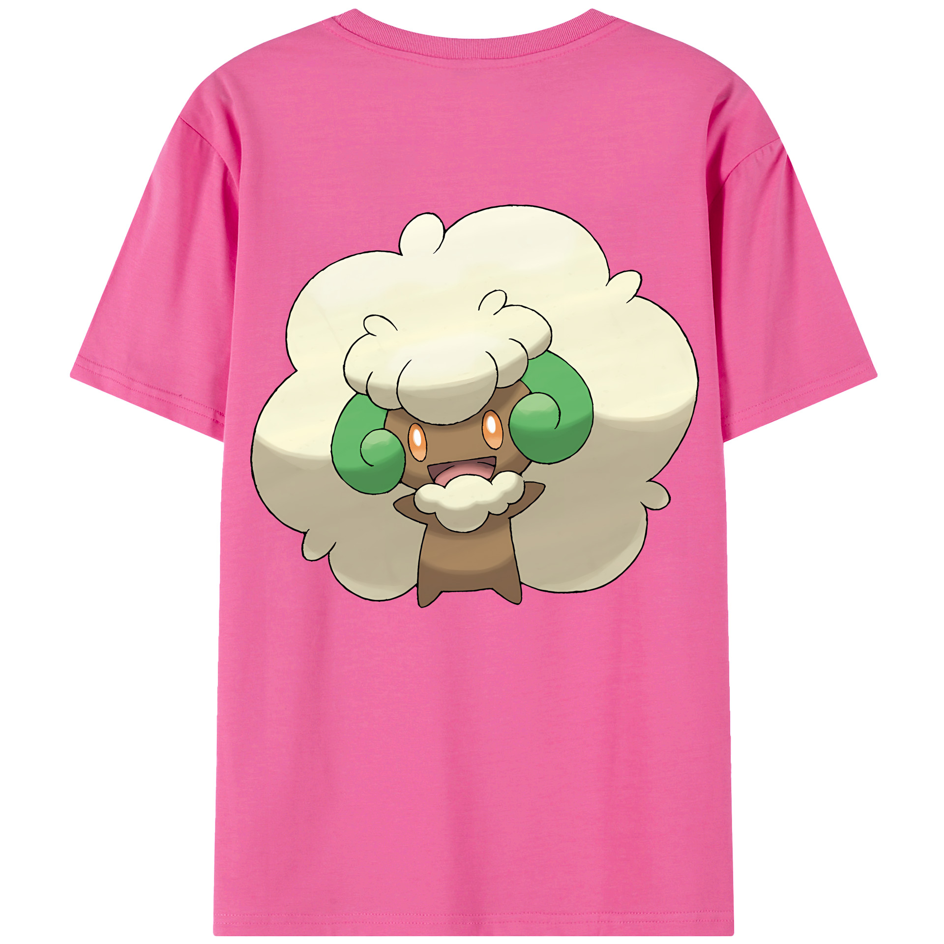 （画像用） ポケットモンスター Pokémon レディース半袖Tシャツ(バックプリント)
